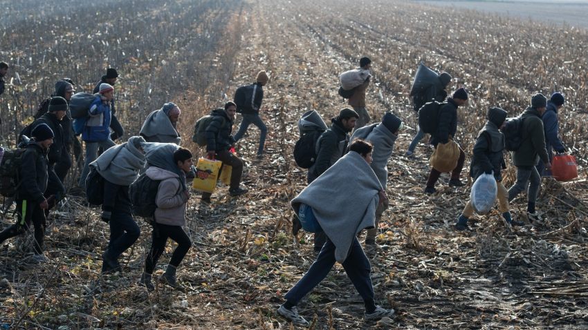 migranti